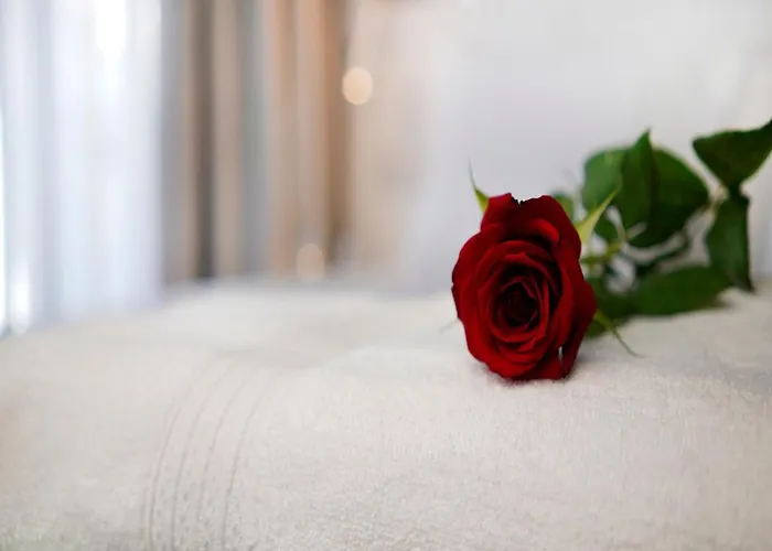 Petit Palace Suites Hotel