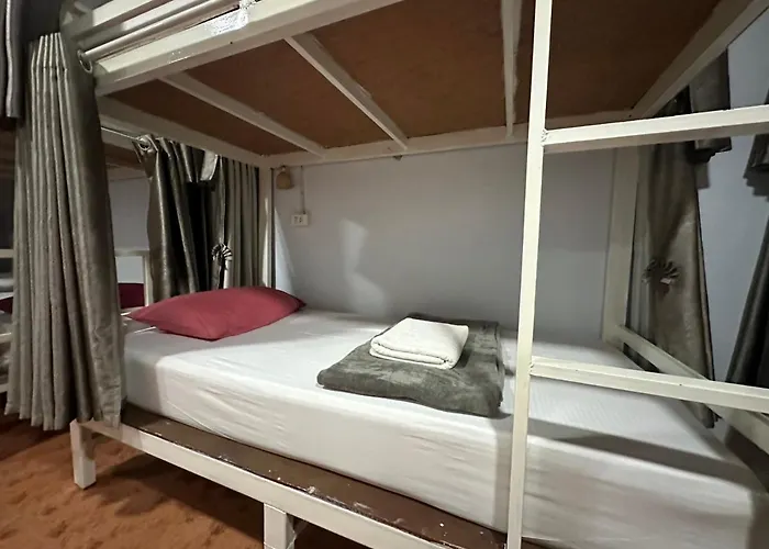 Hangover Hostel