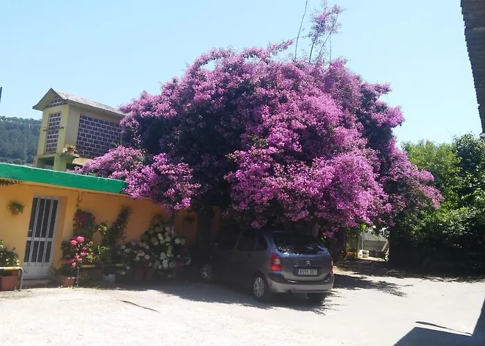 Albergue O Corisco