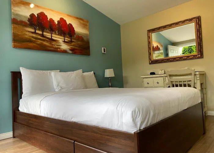 Motel Des Cedres