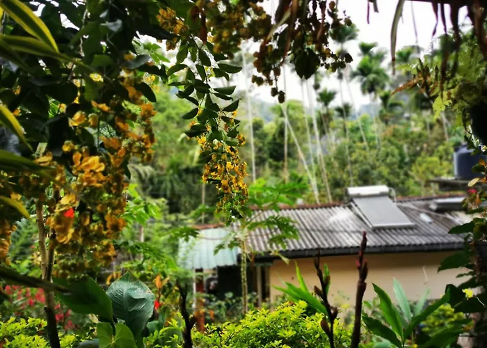 Cozy Homestay Waterfall Road Ella