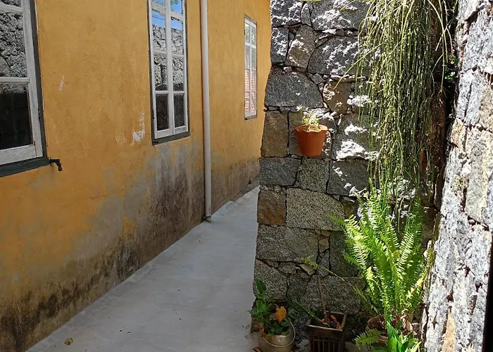 Hostel Pousada Harpia