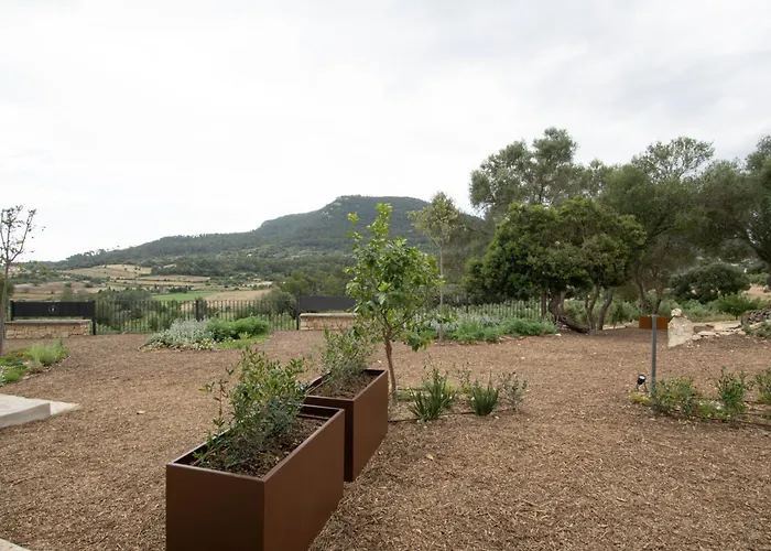 Hotéis de Algaida (Mallorca)
