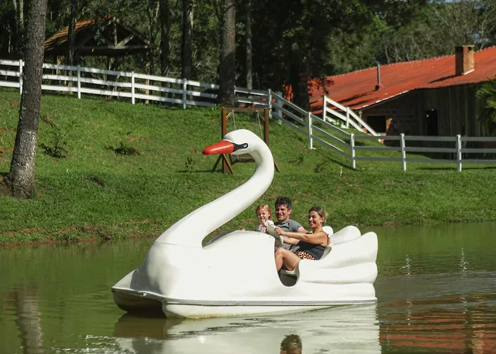 Hotéis de Mandirituba