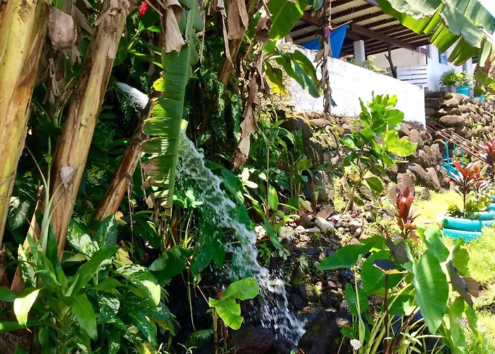 Ohana Beach Hostel Bungalows & Dortoir