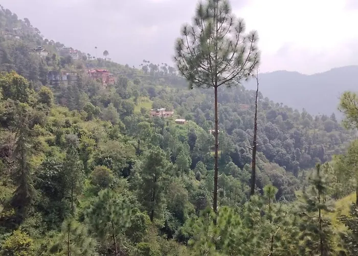 Goroomgo Homestay Sukh Dham Shimla - Homestay Like Home Feeling Mountain View
