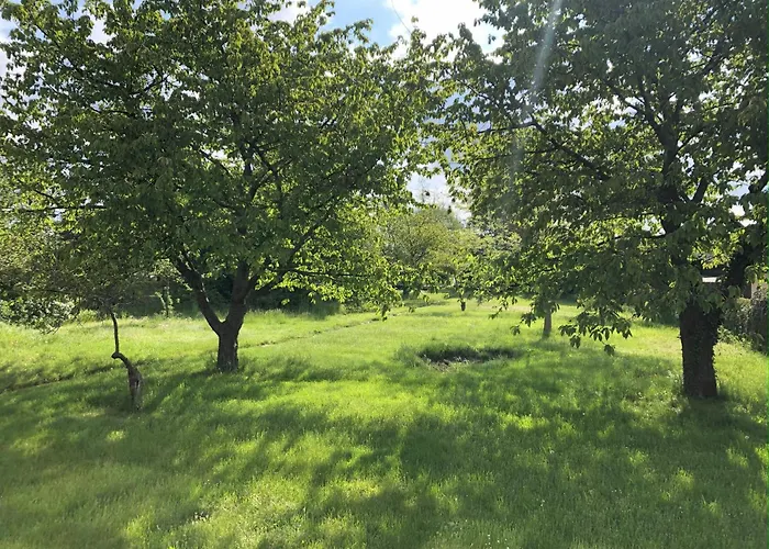 Hof Märkische Heide