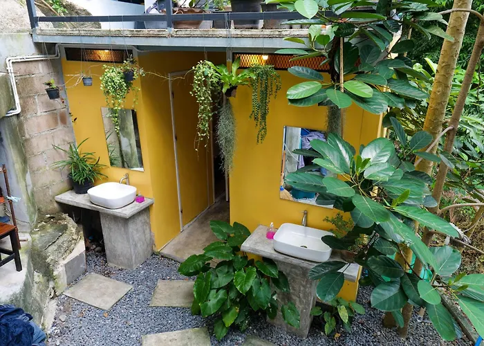 Deishaview Jungle Hostel