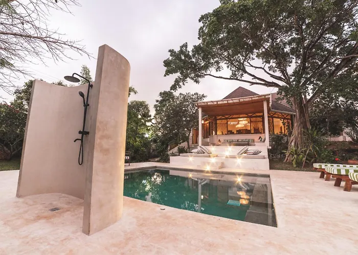 Bamboo House B&B