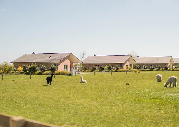 Büdlfarm - Der Familien-Erlebnishof in Strandnähe
