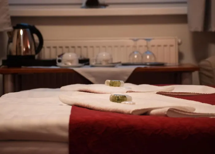 Hotels in Decin
