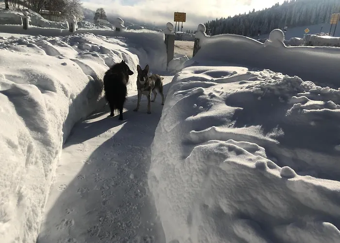 Waldhotel Auerhahn Hochkopfhaus