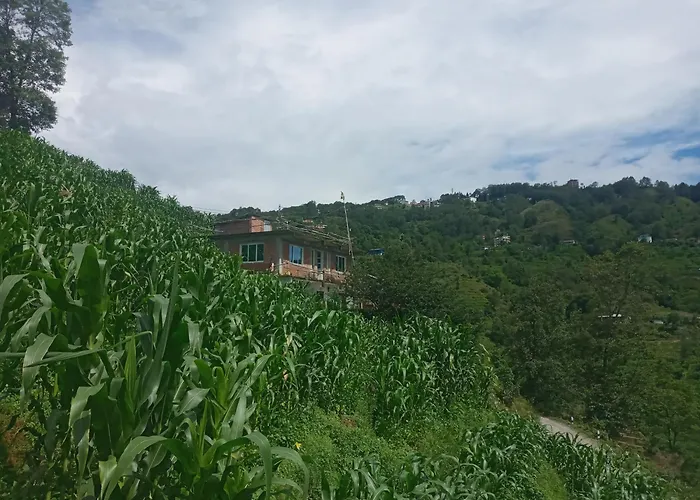 Unique Point Home Stay