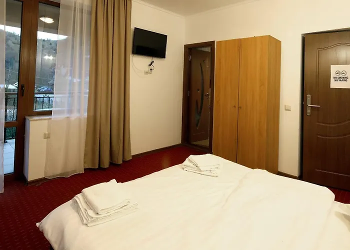 Pensiunea Montan Din Bran,Sat Simon Spa Indoor