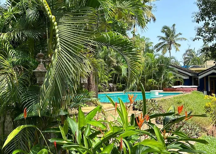 The Amrit Goa
