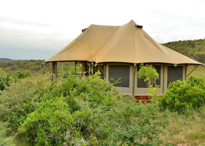 Garden Route Safari Camp