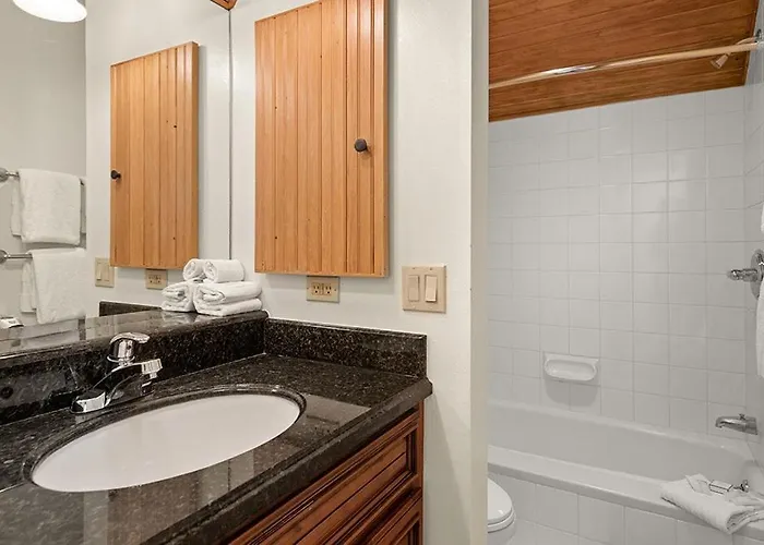 Independence Square Unit 313, Downtown Hotel Room In Aspen With Rooftop Hot Tub
