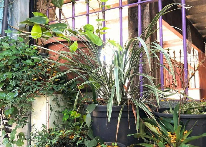 Micasa Hostel - Congonhas