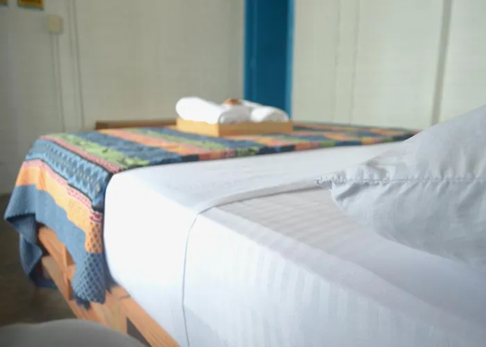 Playa Del Ritmo Beach Hostel & Bar (Adults Only)