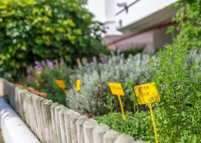 Benalmadena Aparthotels