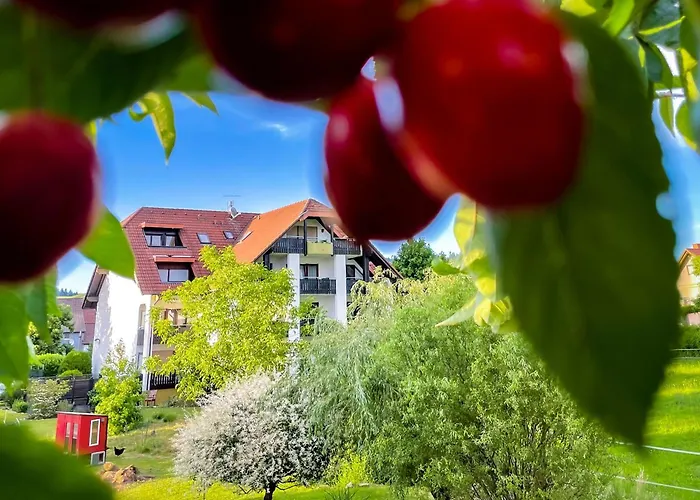 Gasthaus Hirschenstube&Gästehaus Gehri