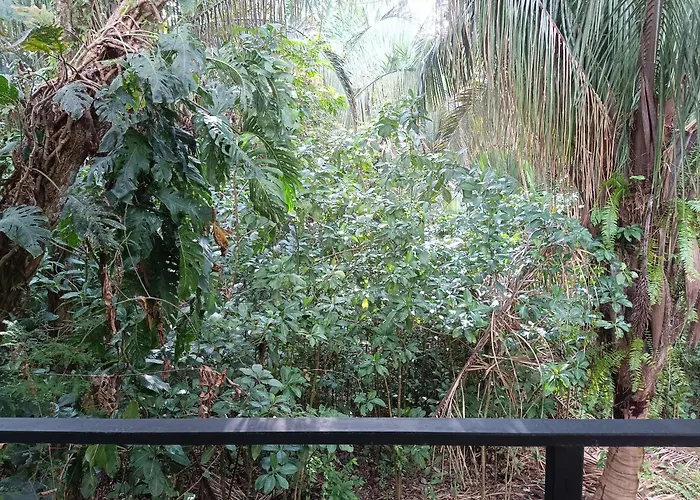 Selva Linda Lodge Jungle Wildlife Vue And Birdwatching