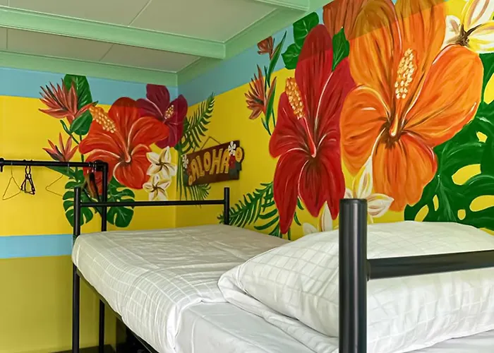 The Flying Pig Beach Hostel