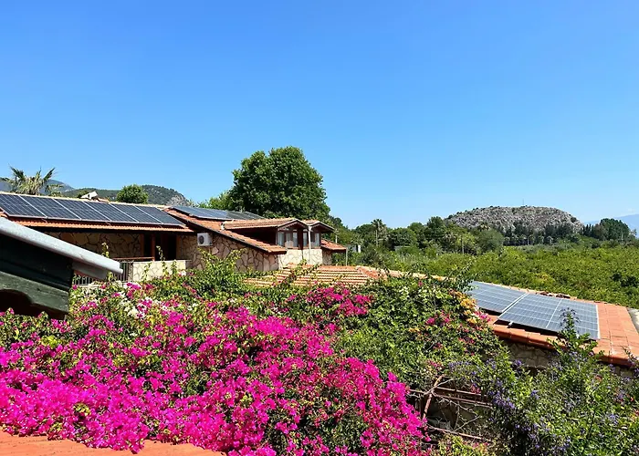 Bahaus Resort