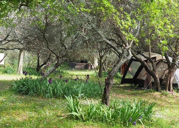 Auberge De Jeunesse Hi Nimes
