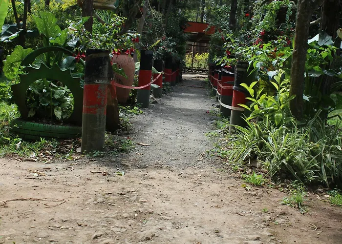 Tranquil Homestays