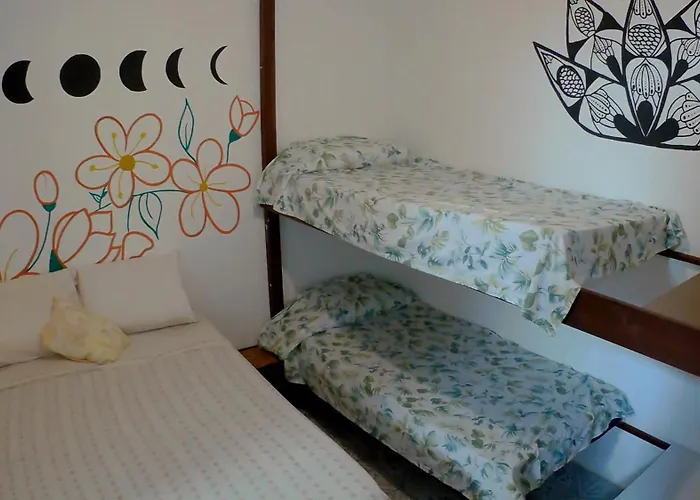 Hostel Freedive Inn