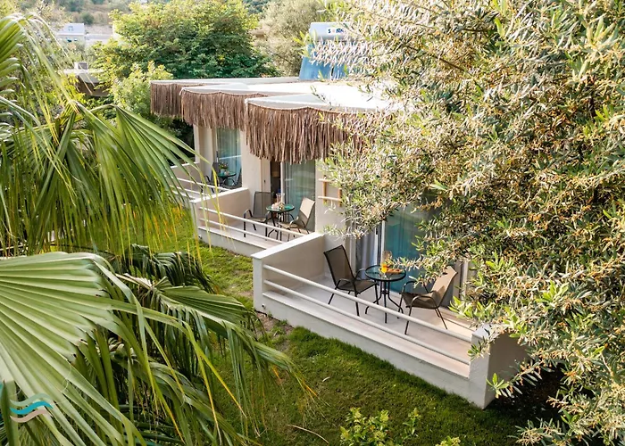 Hotels in Plataria