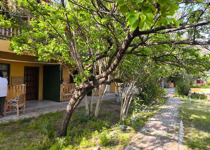 Hotels in Çıralı