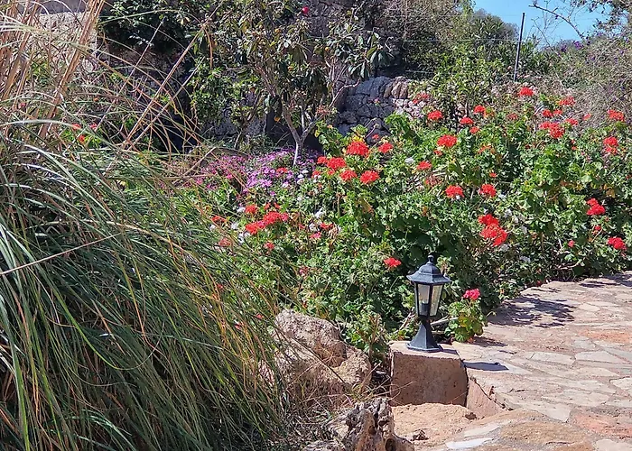Finca Son Marimon - Adults Only
