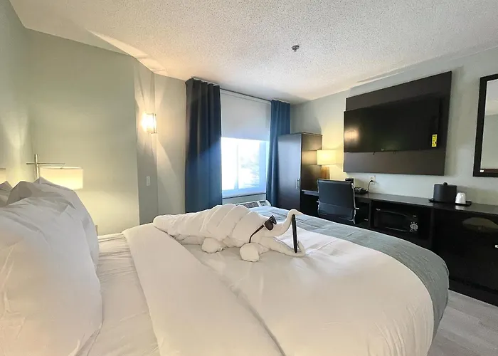 Wingate By Wyndham Salisbury Md Airport North