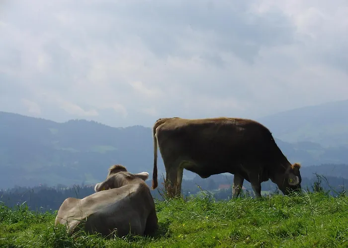 Landhotel Herzberger garni Zimmer&Ferienwohnungen