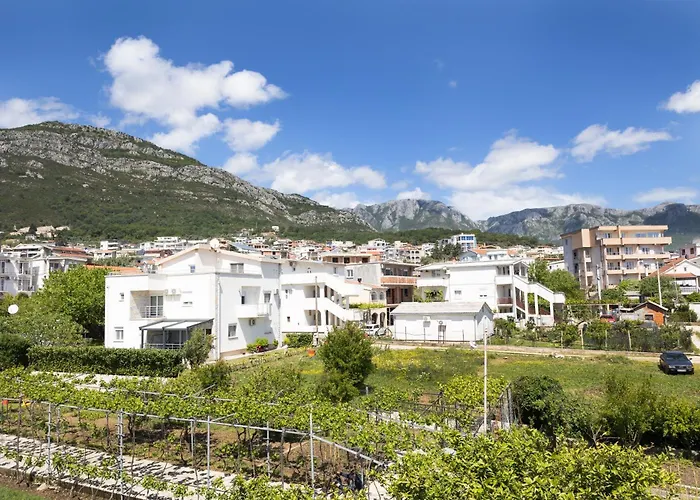 Apartmani Novkovic