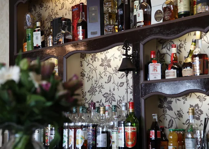 Logis Hotel Des Bains