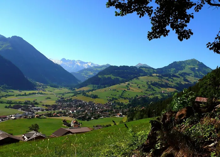 Hotels in Zweisimmen