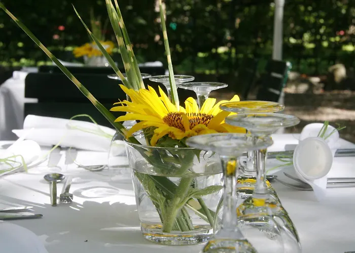 Hotel Gasthof Alte Post - Restaurant offen