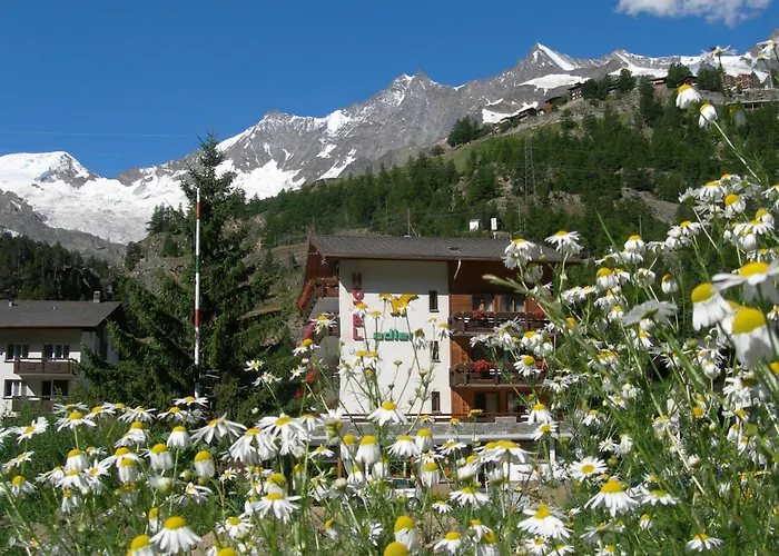 Hotel Adler