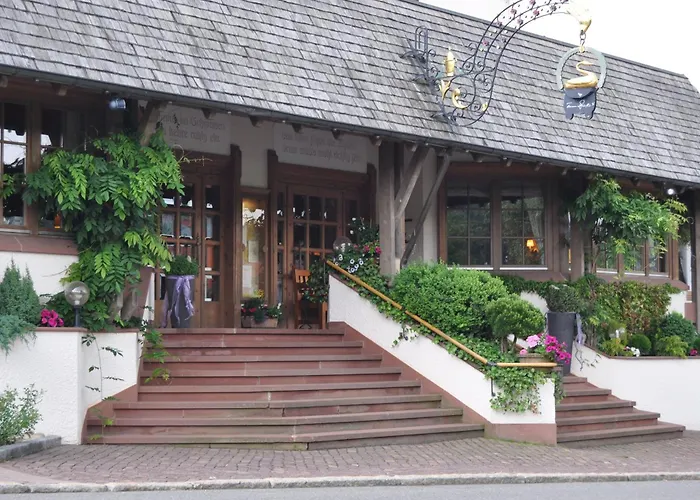 Hotel Schwanen Kälberbronn