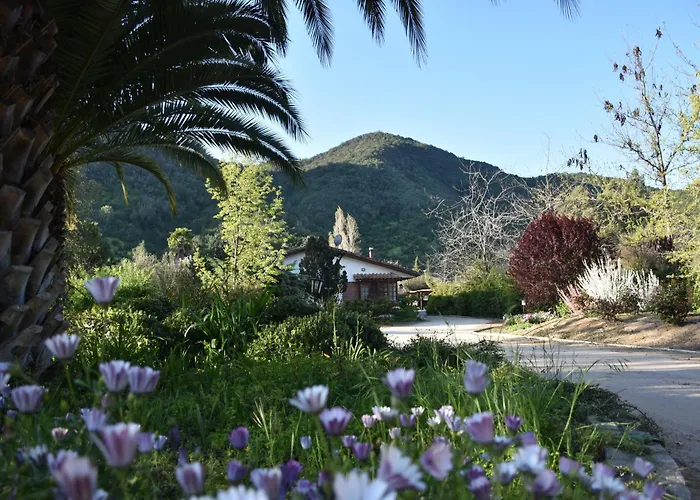 Hotel Boutique Solaz Bella Vista De Colchagua
