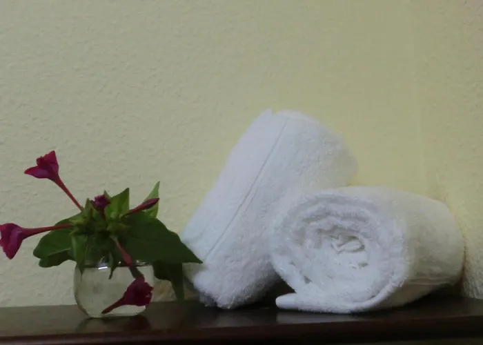 Varandas De Alter Hotel & Spa
