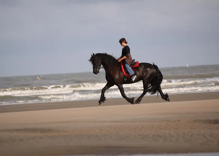Hotels in De Haan