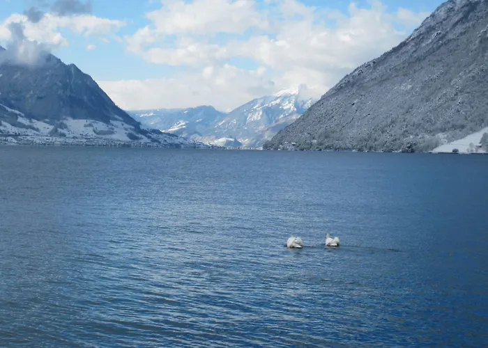 Hotels in Brunnen