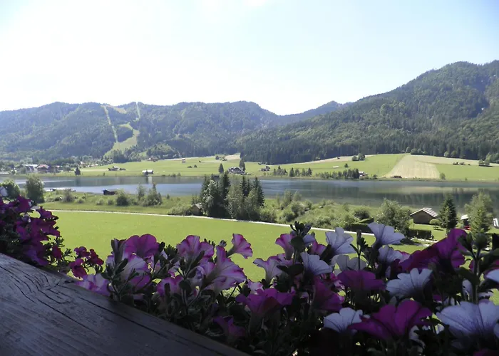 Hotels in Weissensee