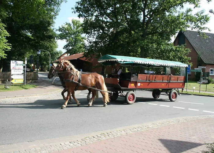 Hotel Sellhorn, Ringhotel Hanstedt