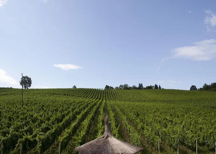 Stupnicki Dvori Winery Hotel