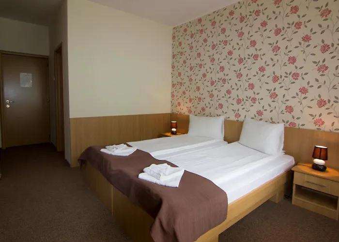 Hotel Muresul Health Spa
